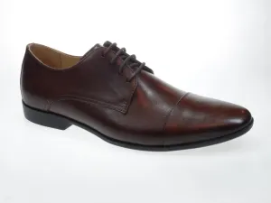 Anatomic Panorama Chestnut Oxford Shoes