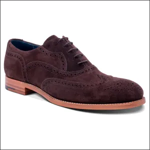 Barker Bladen - Bitta Choc Oxford Brogue@