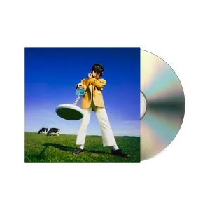 Declan McKenna - What Happened To The Beach? (CD)