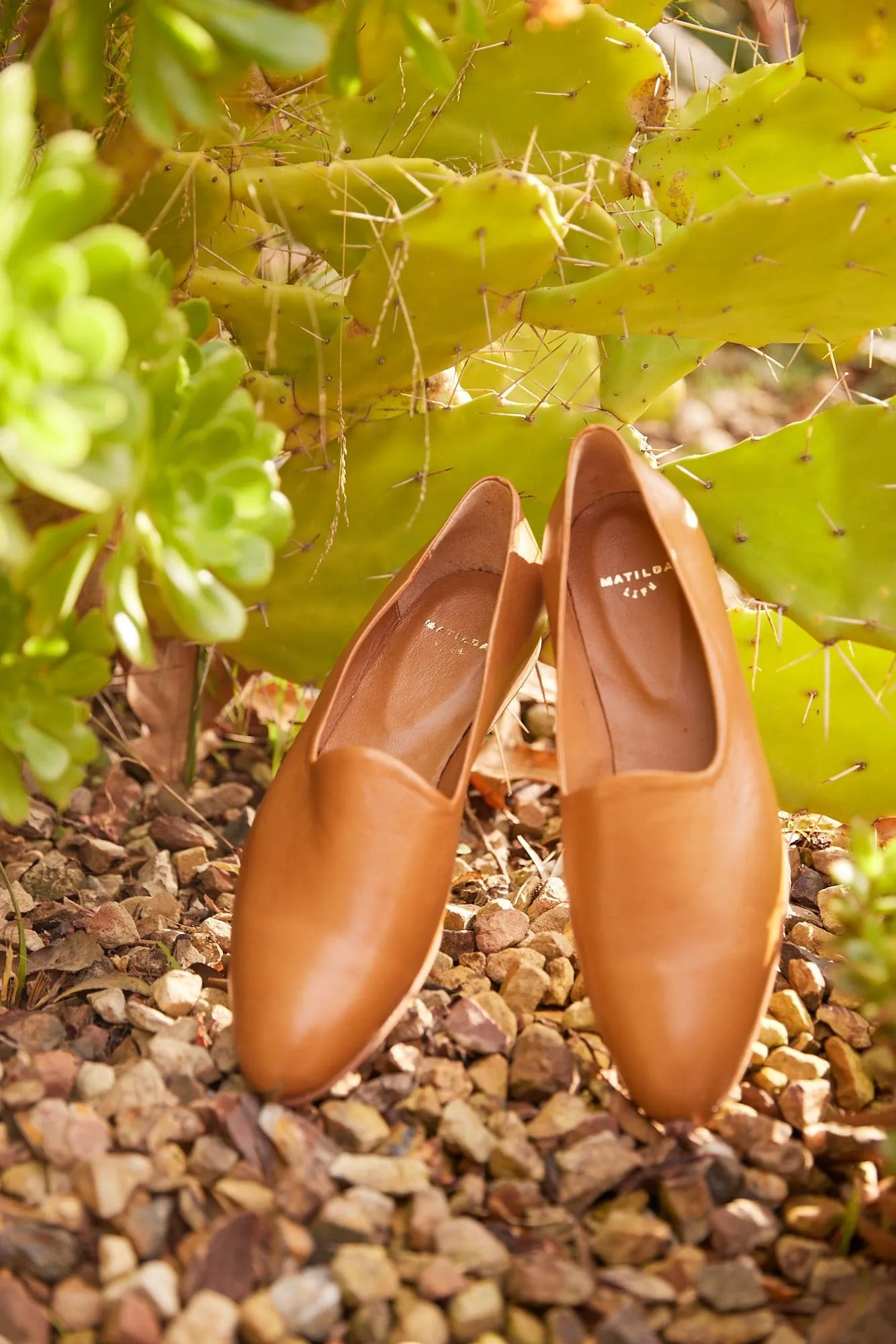 Elwood Tan Slip On Shoe Tan