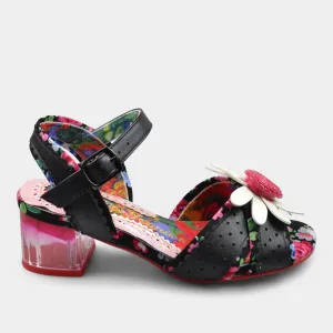 IRREGULAR CHOICE FLOWER VARIETY GIRL IN BLACK