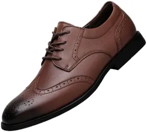 Men's Summer Leather Oxfords Business Loafers Shoes for Men Fashion Casual Classic Lace Up Dress Shoes