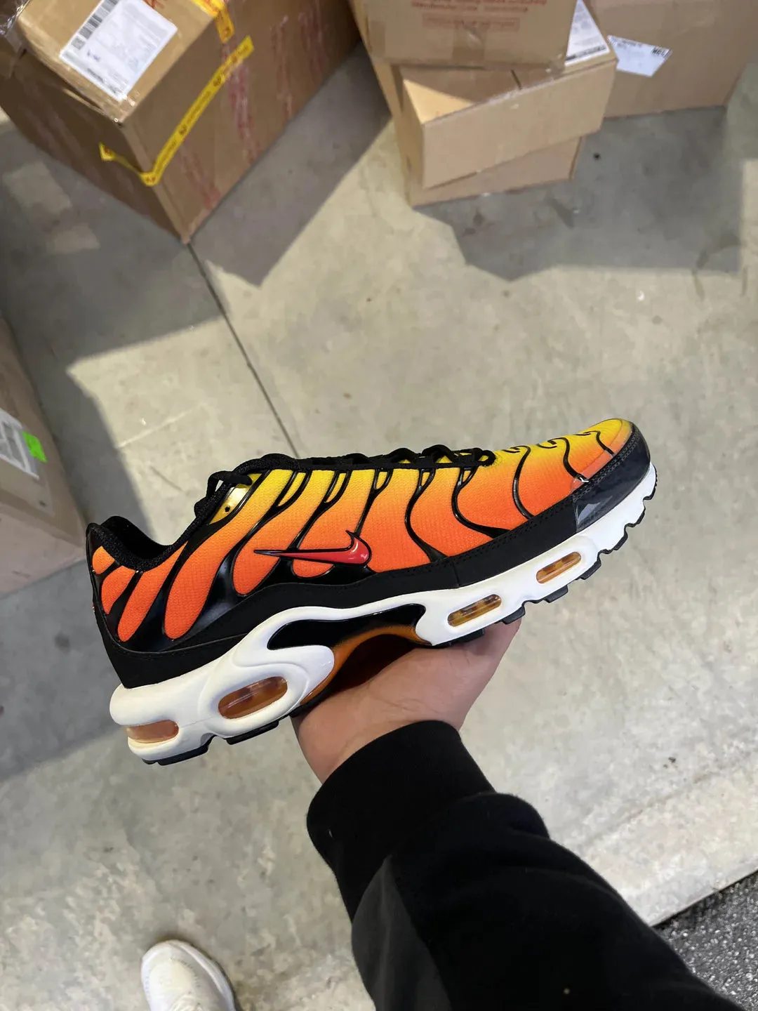 Nike Air Max Plus TN "Tiger" (2024)