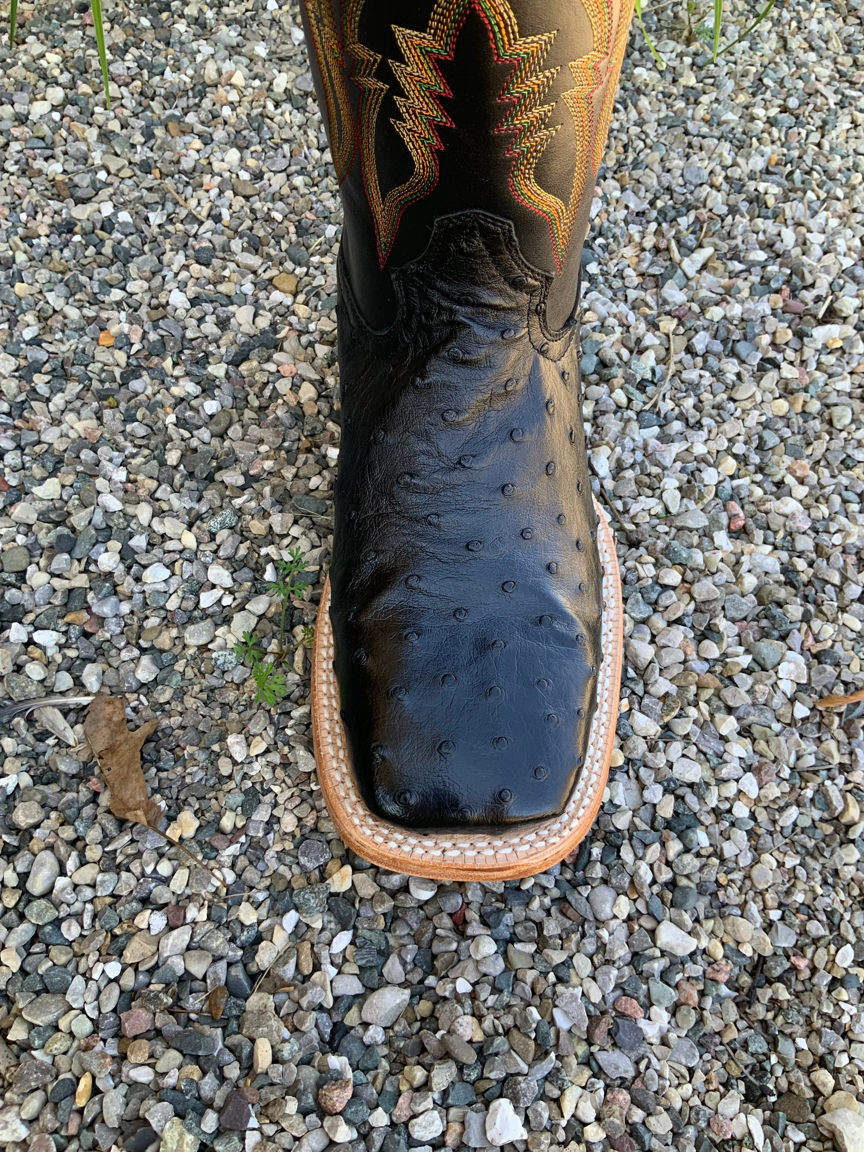 R. Watson Men's Black Full Quill Ostrich Wide Square Toe Western Cowboy Boots RW4507-2