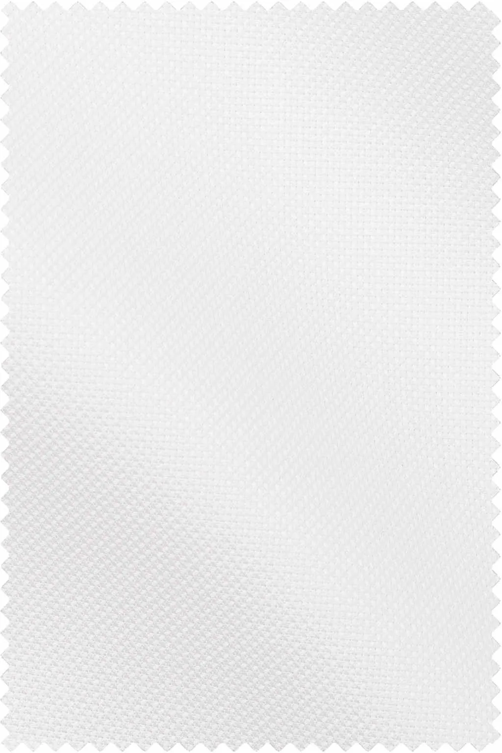 Royal Oxford White